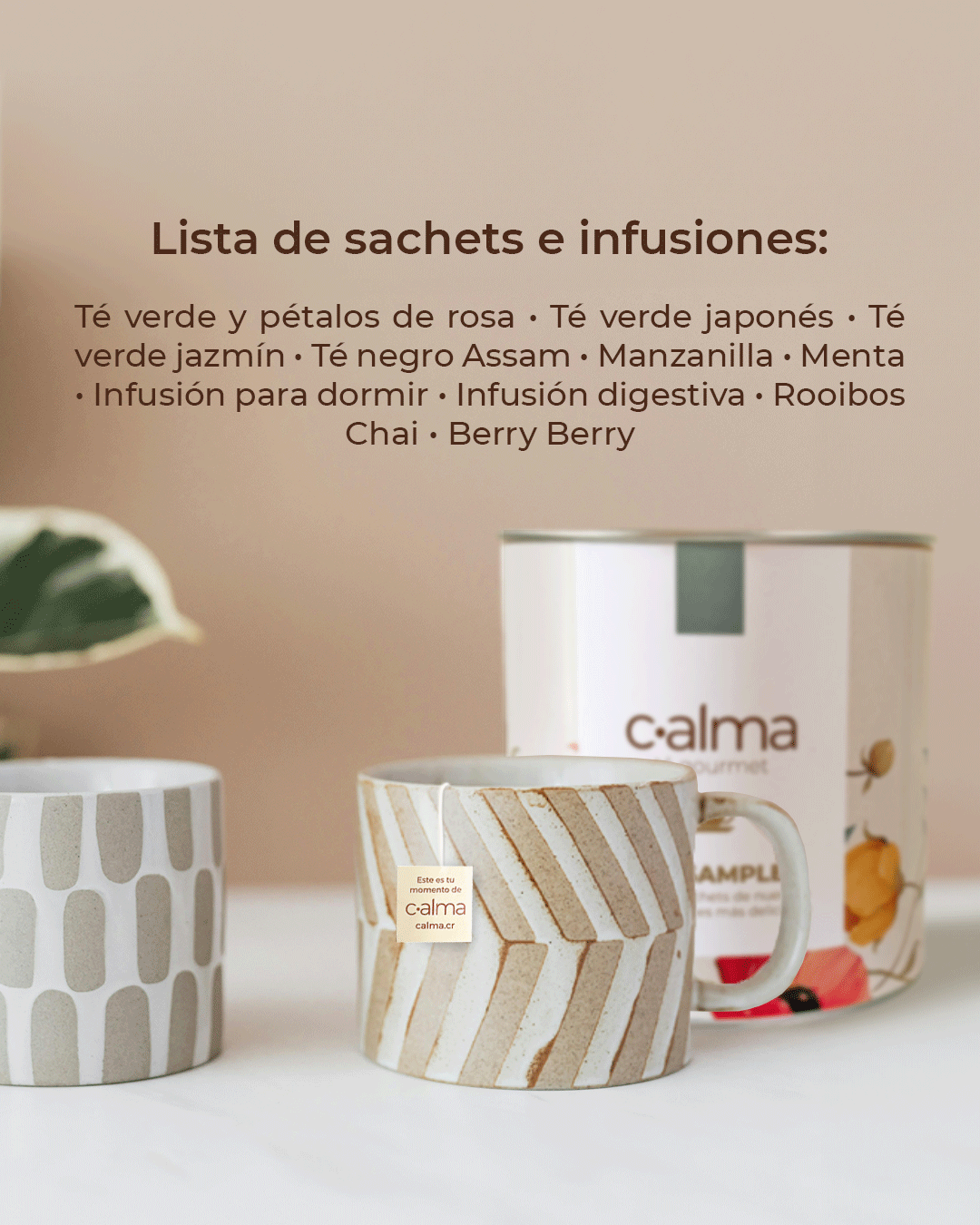 Muestra de Tés Premium