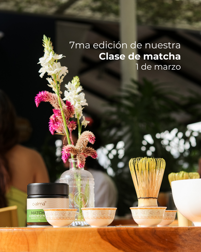 Clase presencial de Matcha