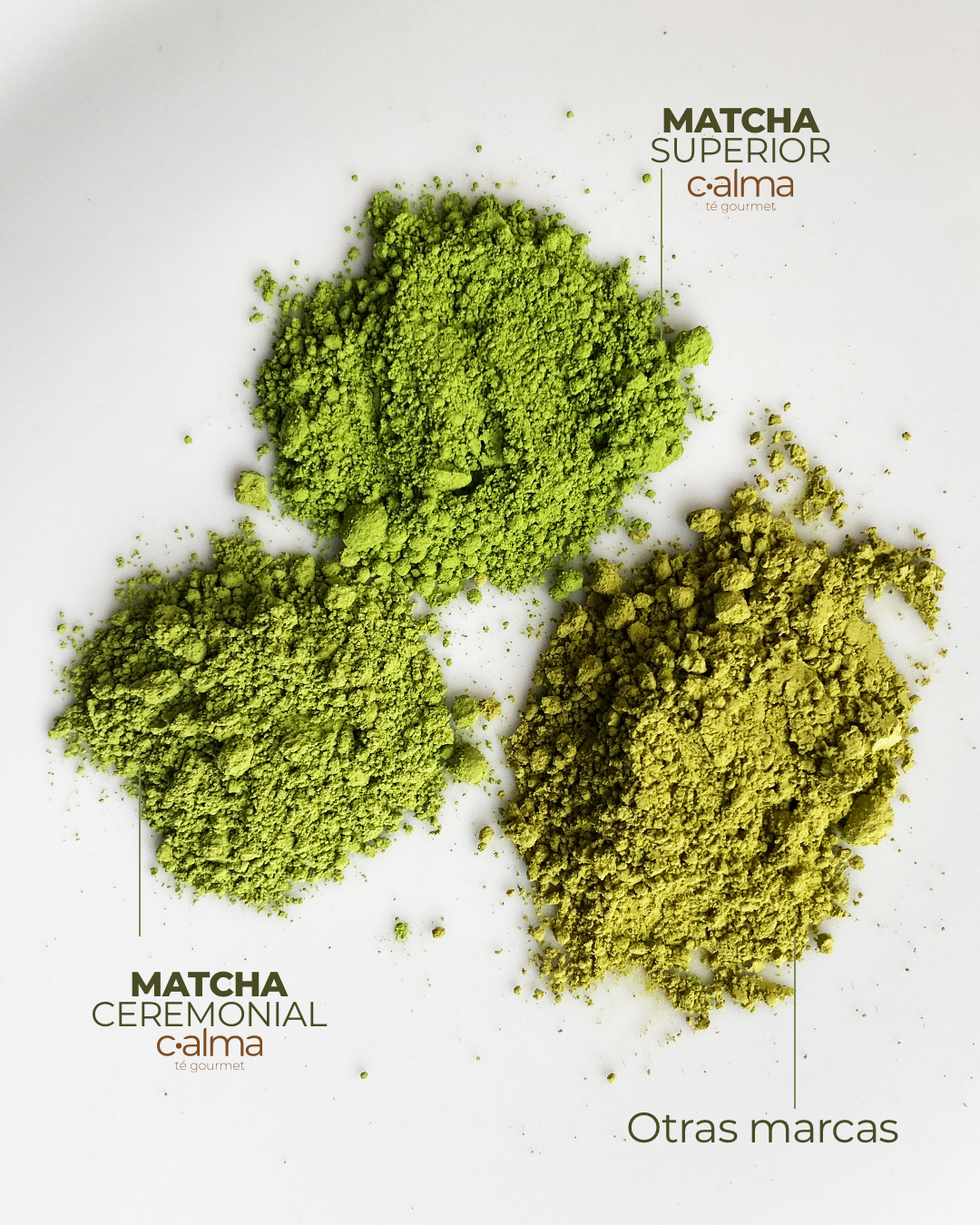 Primera Matcha Matcha Superior de Primera Calidad de Japón | Calma.cr – calma.cr